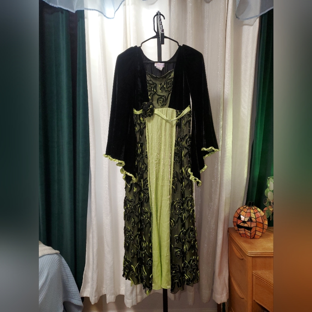 Black Green Velvet Princess Paradise Bell Sleeve Dress